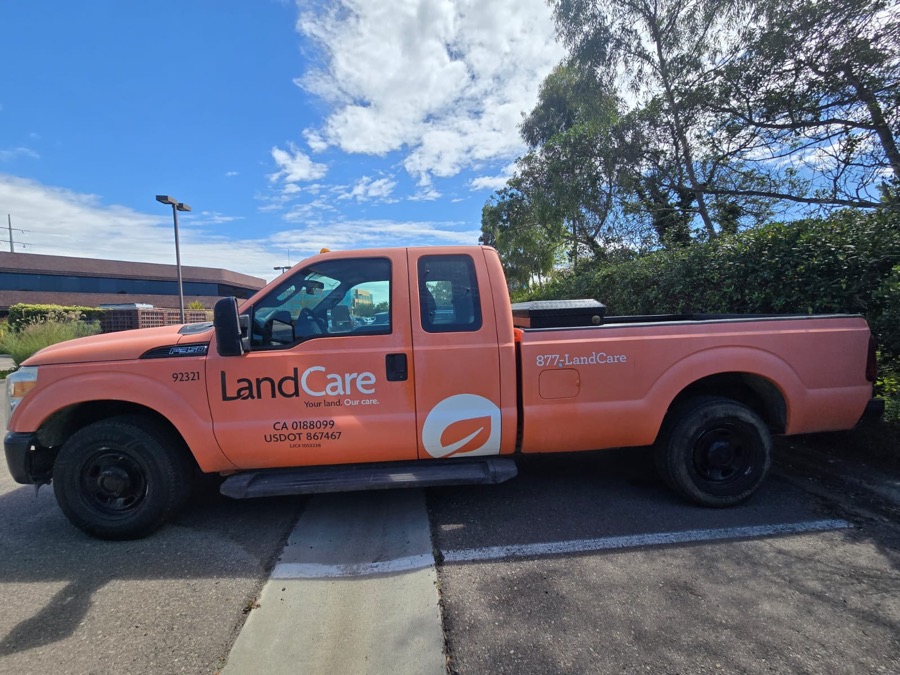 Orange Ford F-350 pickup with faded, chalky paint, side view